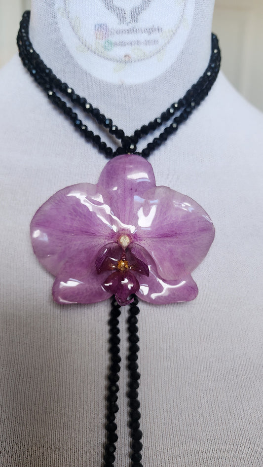 BLACK DRAGONFLY-LIBÉLULA NEGRA