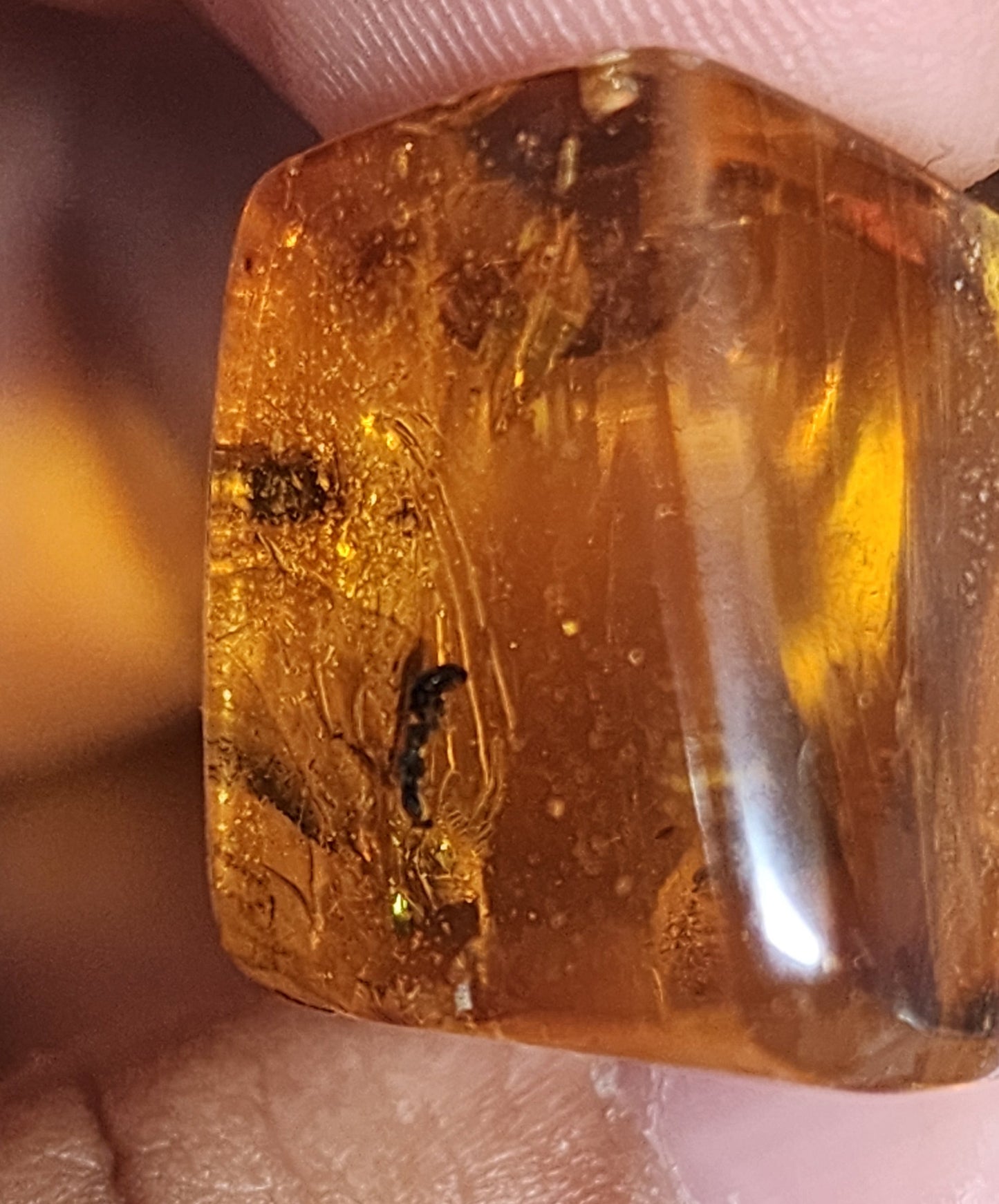 COLLAR DE ORQUIDEA NATURAL  (AMBAR)