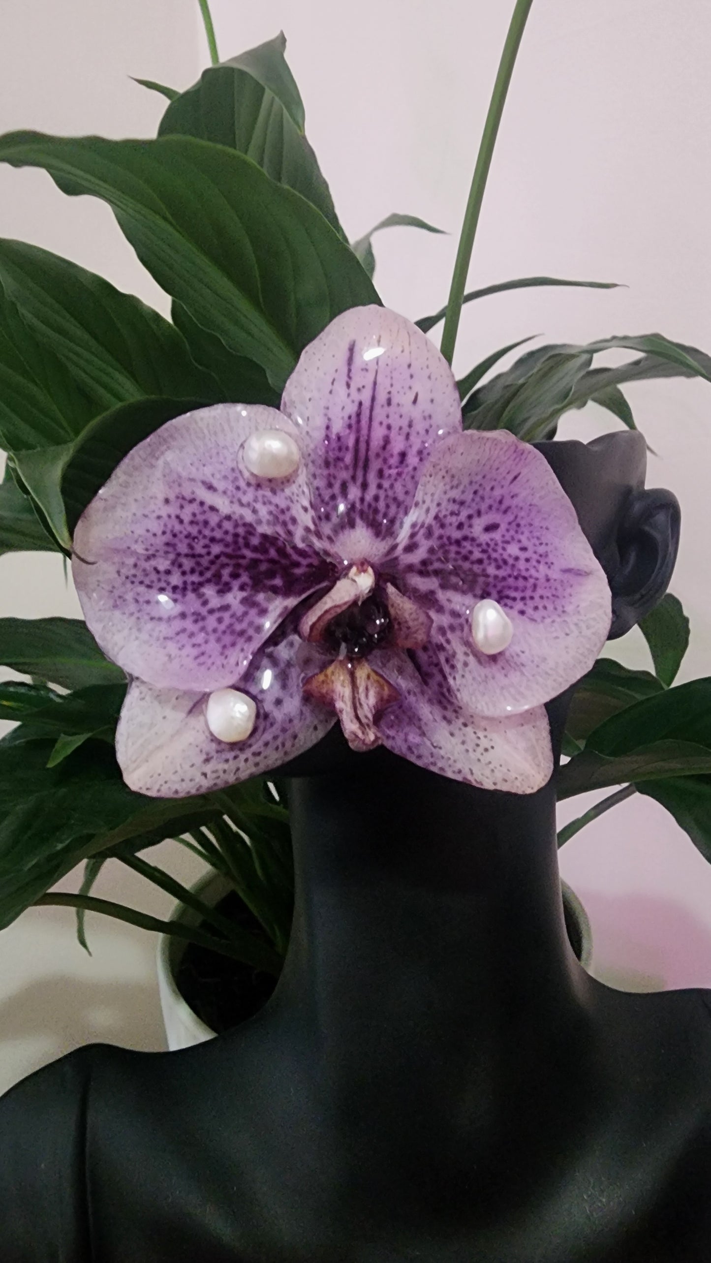 CLIP DE ORQUIDEA NATURAL (Apple)