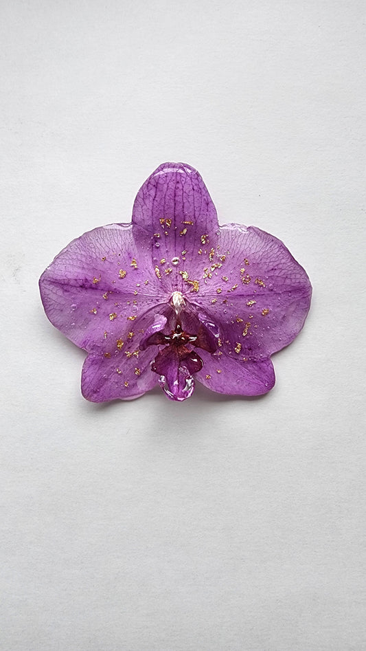BROCHE DE ORQUIDEA NATURAL ENCAPSULADA.
