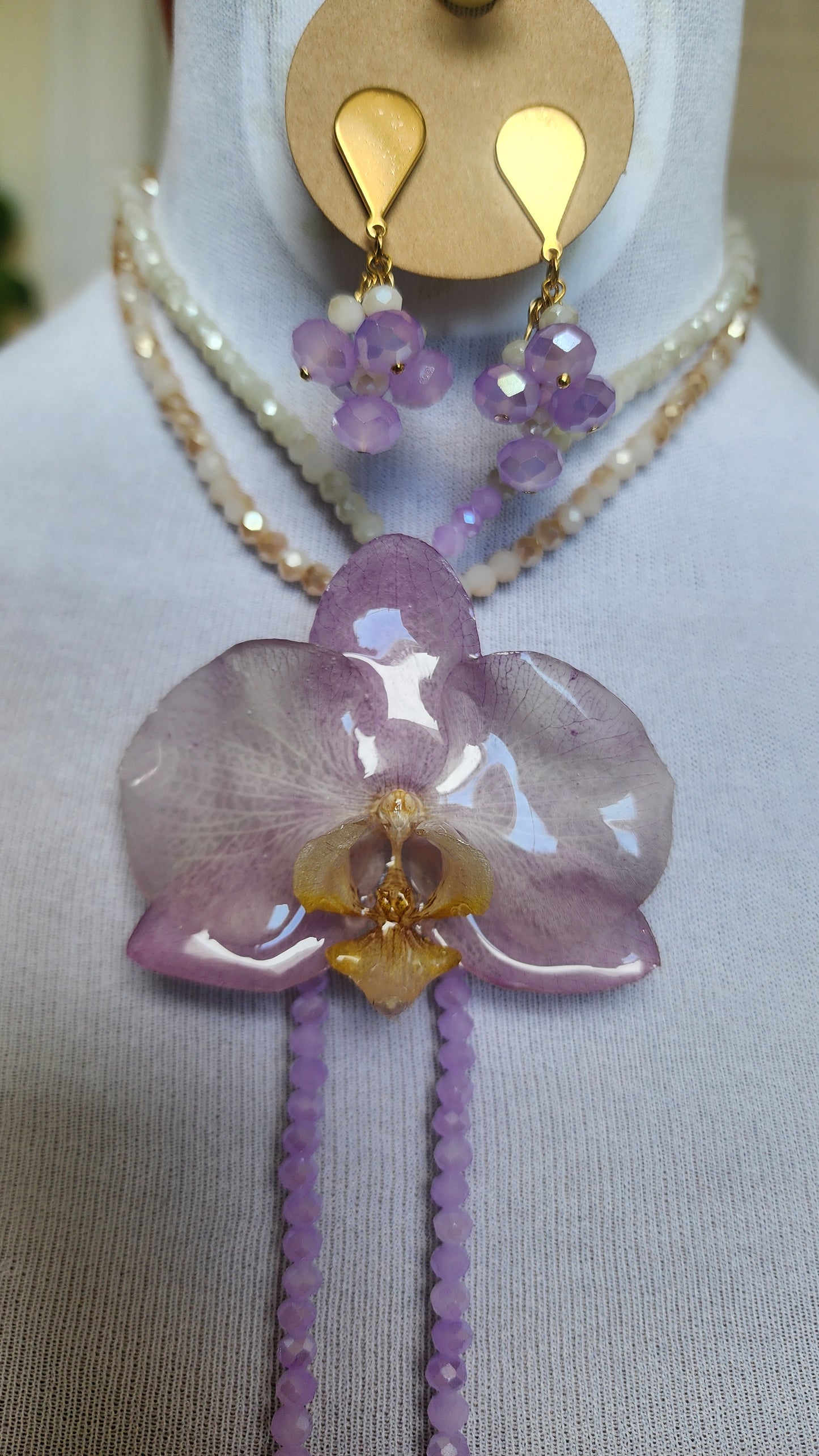 VIOLET-VIOLETA