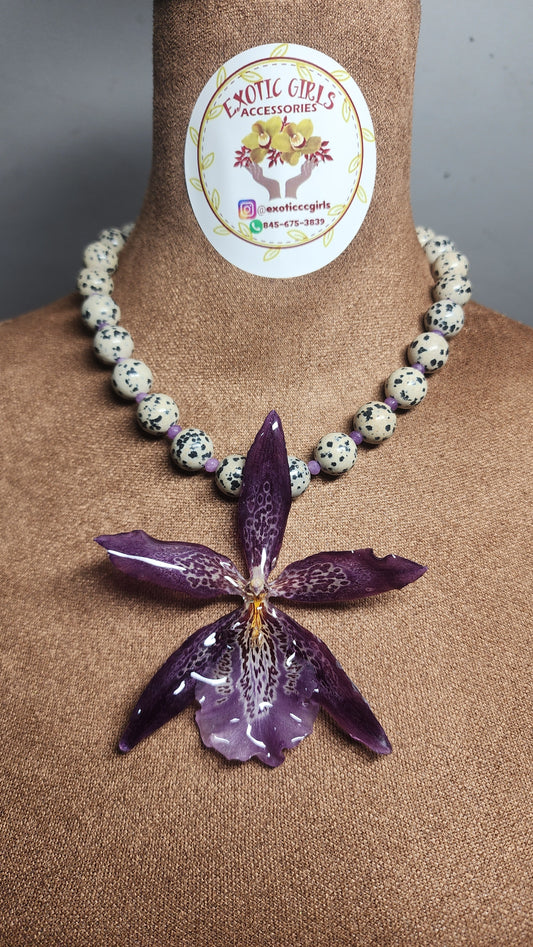 COLLAR DE ORQUIDEA NATURAL  (DALMATA)