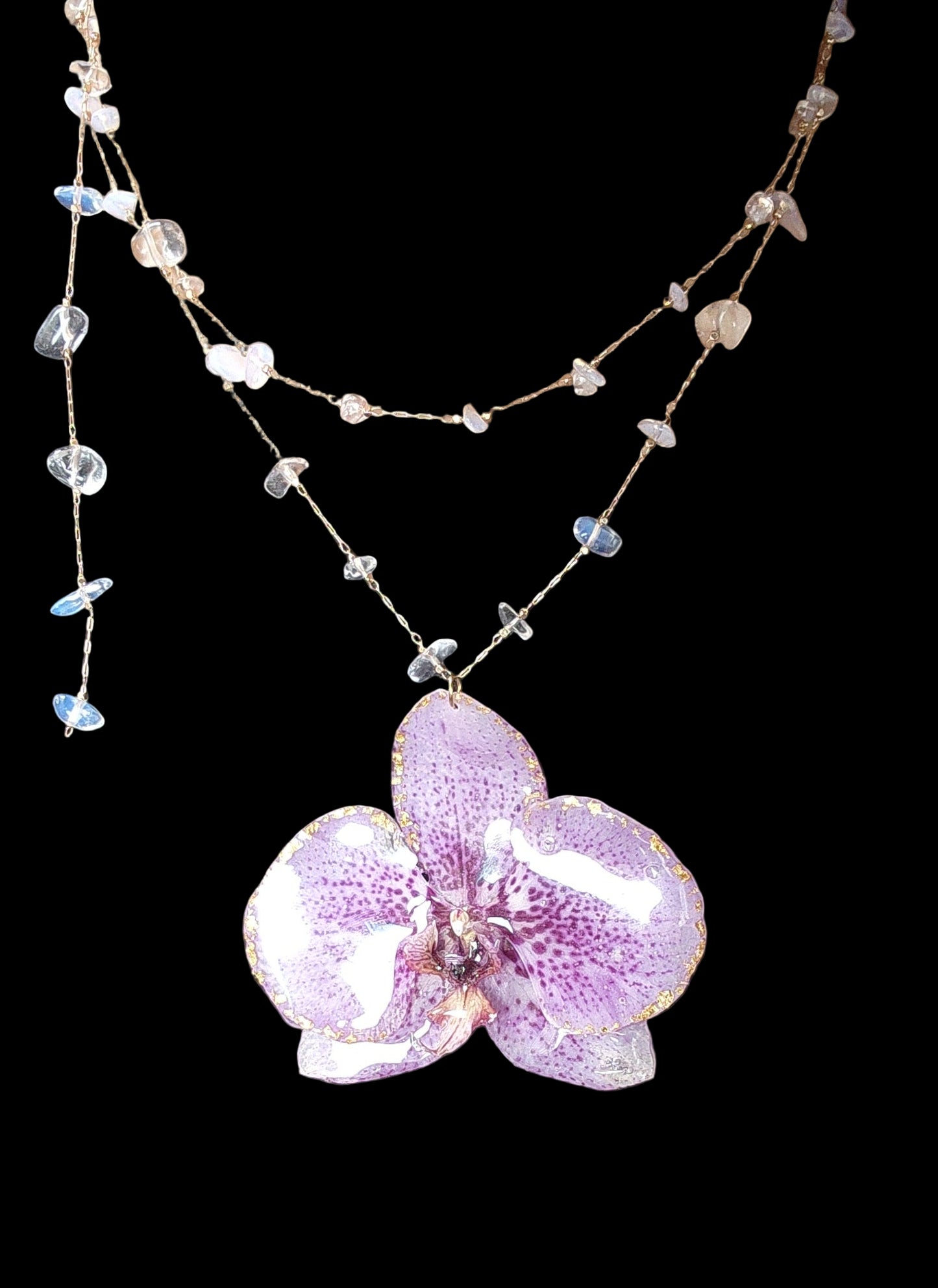 COLLAR DE ORQUIDEA NATURAL (Clear)