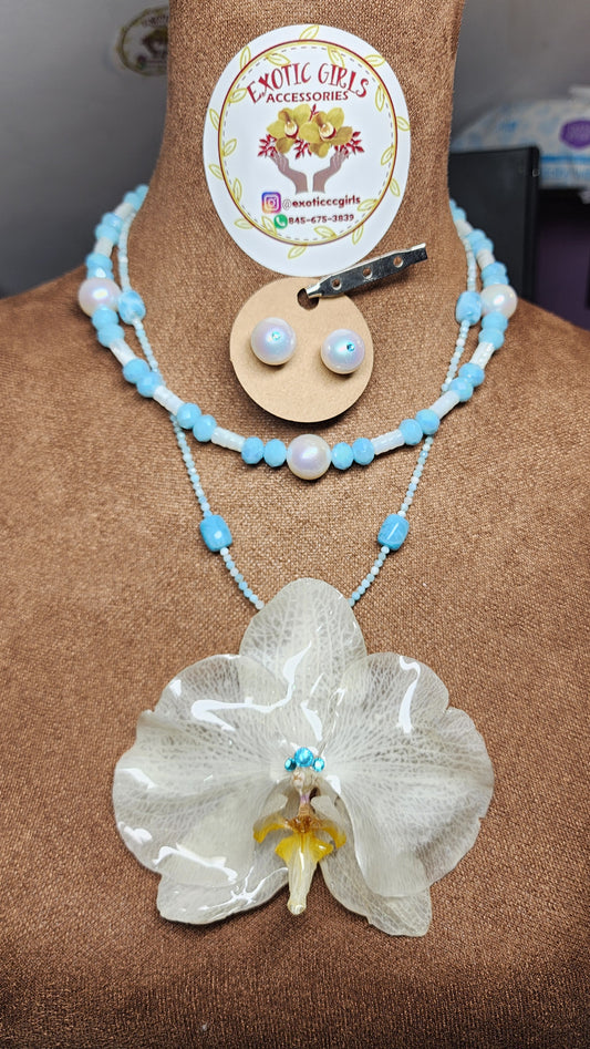 Collar de orquidea (Paloma)