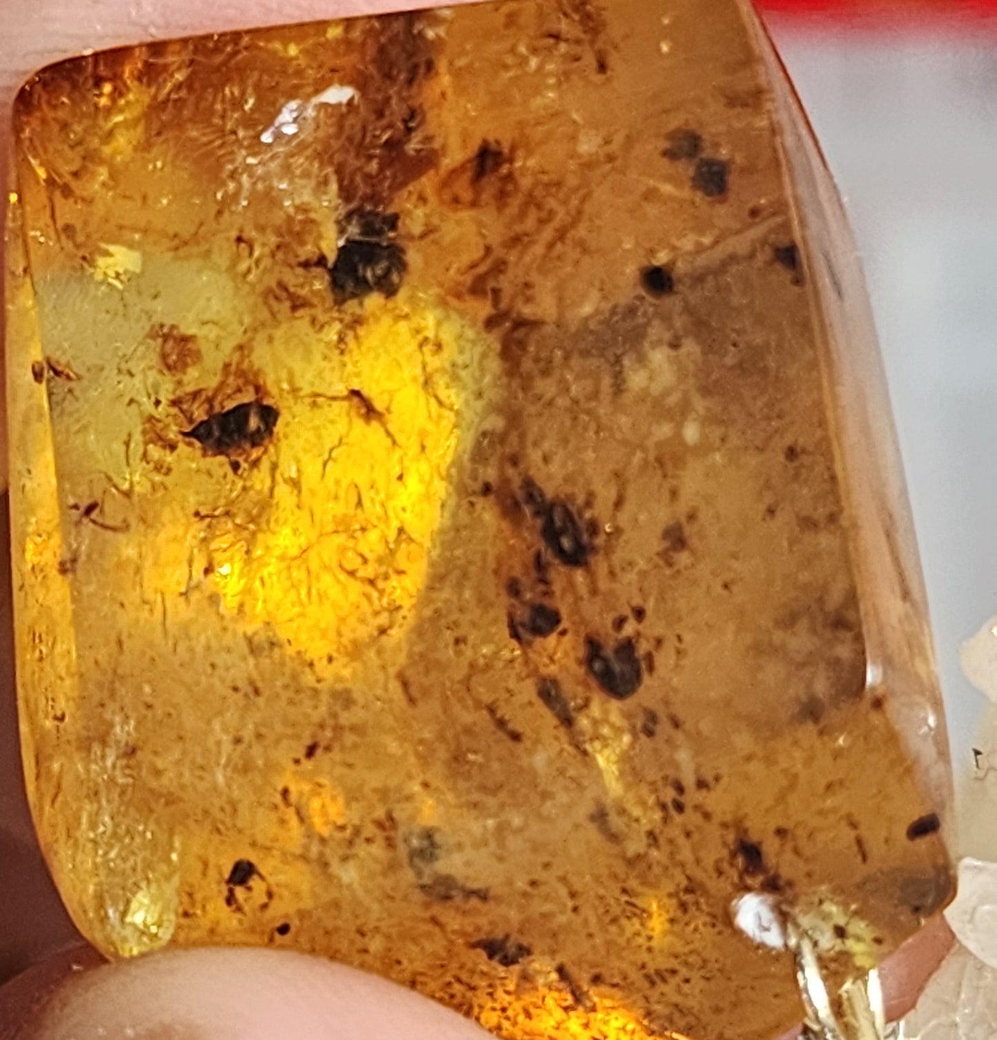 COLLAR DE ORQUIDEA NATURAL  (AMBAR)