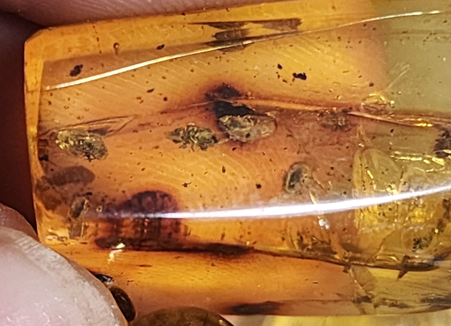 COLLAR DE ORQUIDEA NATURAL  (AMBAR)