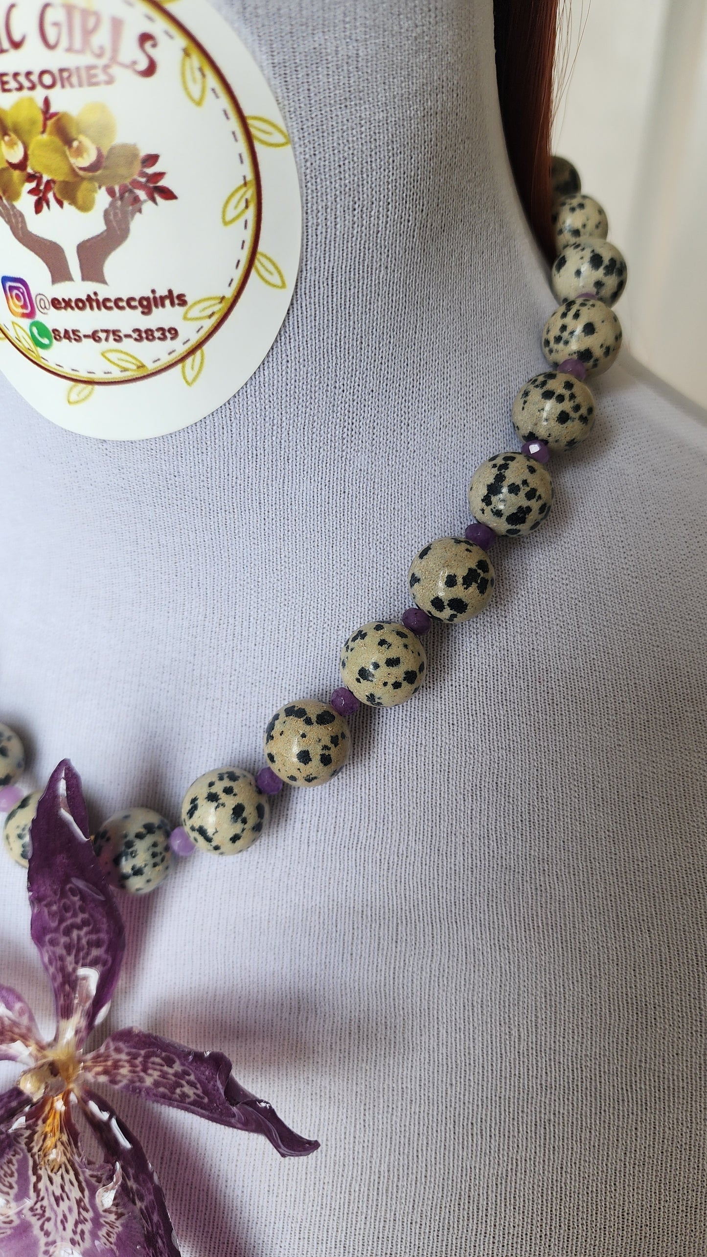 DALMATIAN-DALMATA