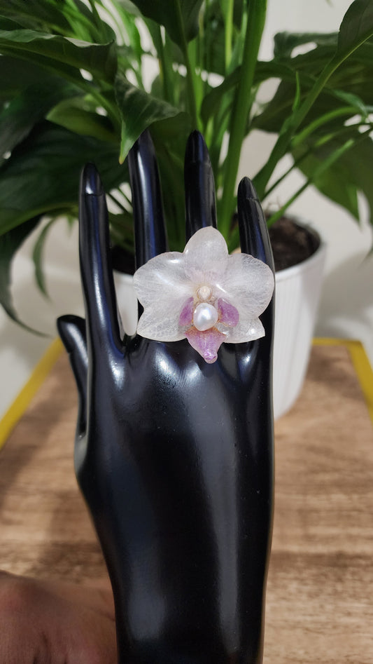 Anillo de mini orquidea natural (sweet)