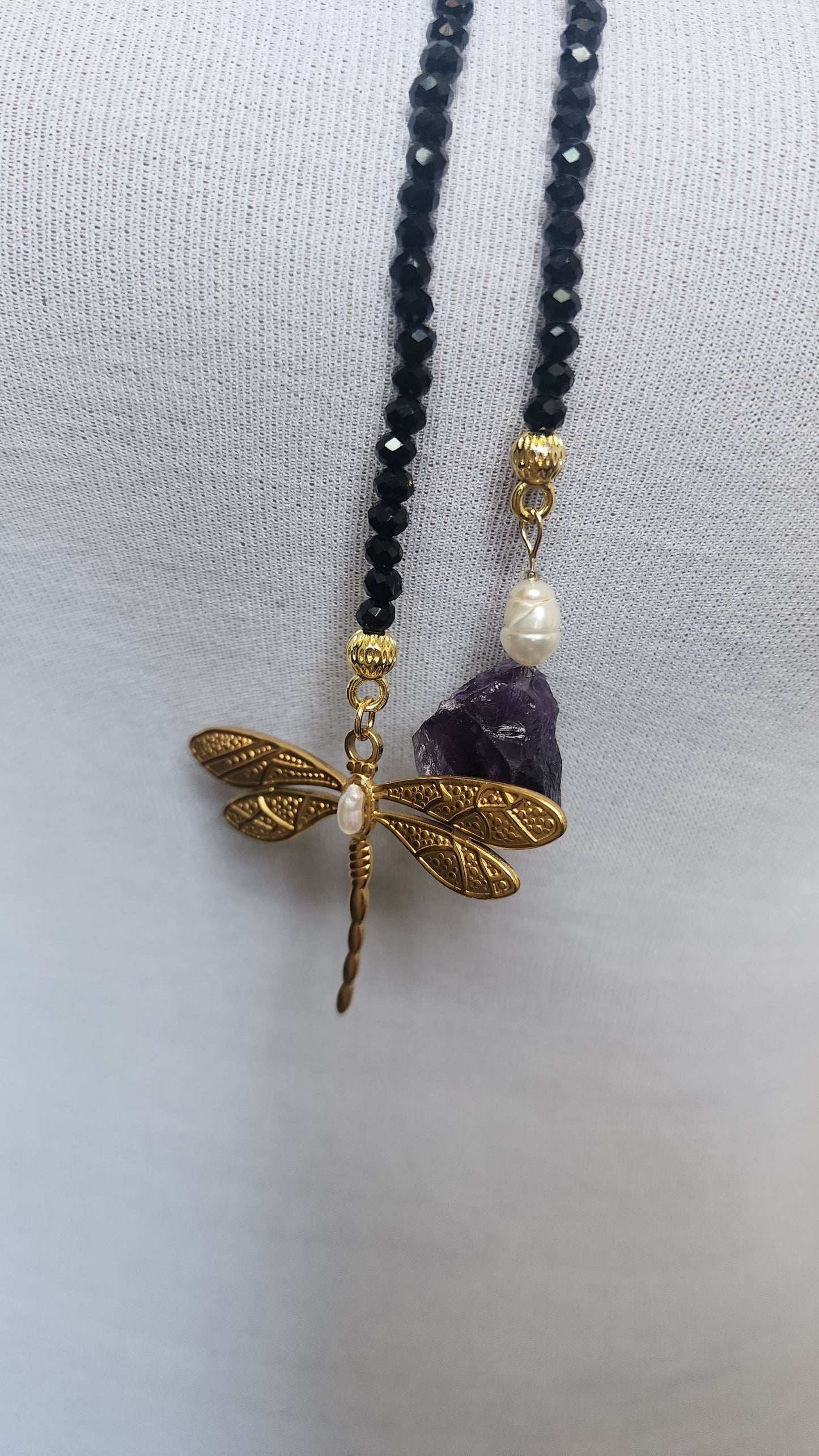 BLACK DRAGONFLY-LIBÉLULA NEGRA